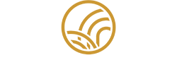 37 GLOVER COURT